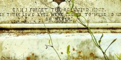 My Fauxtography: Cemeteries: Gallery One